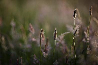 腾讯天美在蒙特利尔成立新工作室 开发3A开放世界游戏